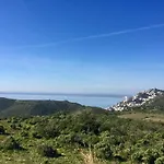 Palmeras 2.10